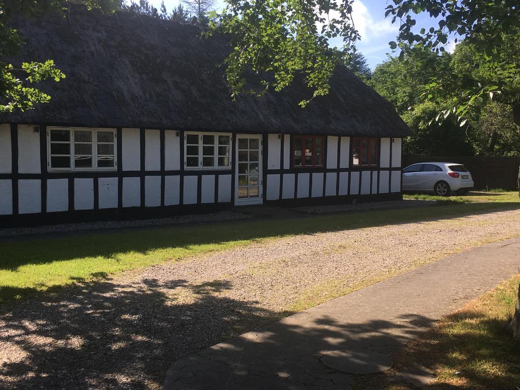 Hotel Dancamps Trelde Naes Fredericia Exteriér fotografie